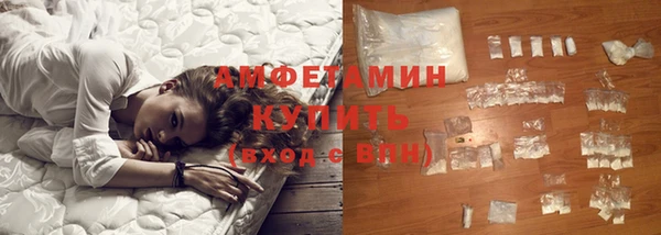 прущие грибы Вяземский
