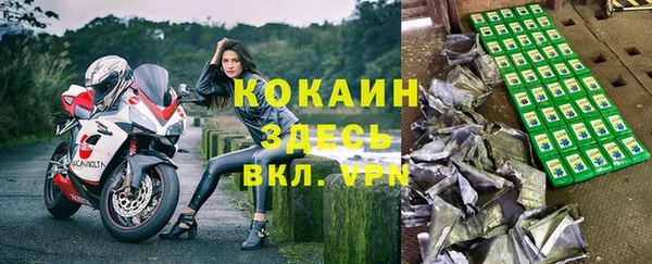 прущие грибы Вяземский