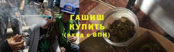 прущие грибы Вяземский