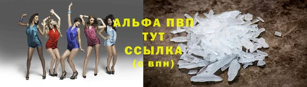 молекула духа Волоколамск