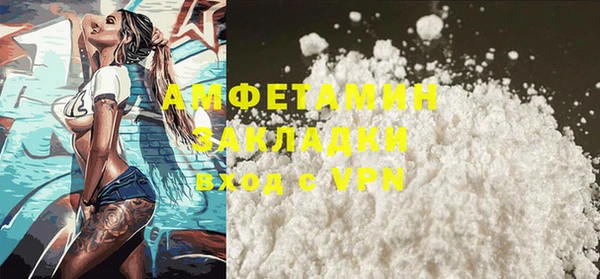 прущие грибы Вяземский