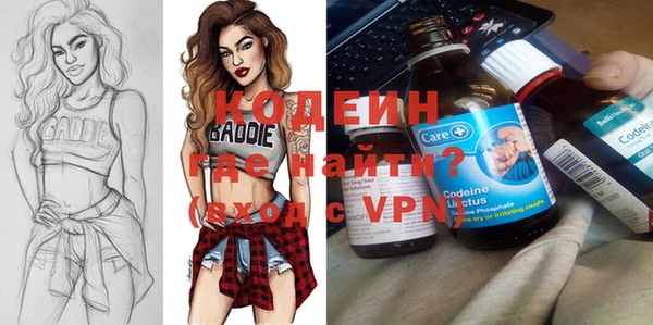 прущие грибы Вяземский