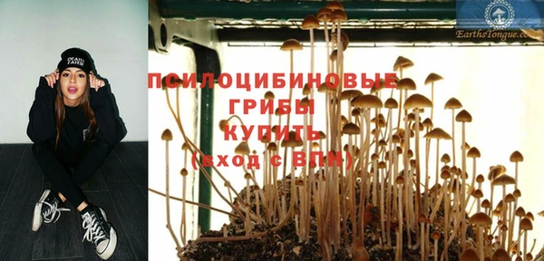 хмурый Вязьма