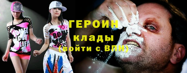 прущие грибы Вяземский