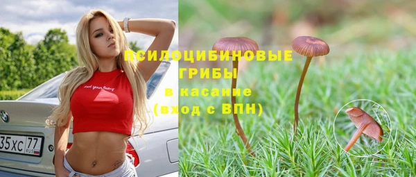 прущие грибы Вяземский