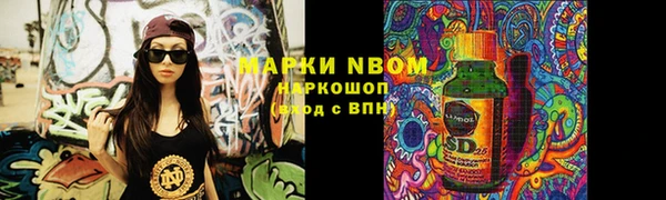 прущие грибы Вяземский