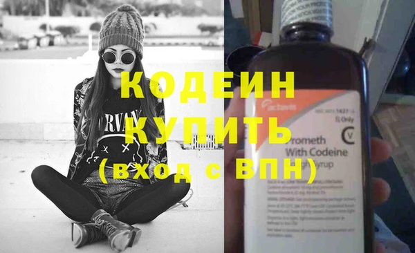 прущие грибы Вяземский