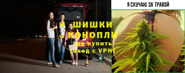 хмурый Вязьма