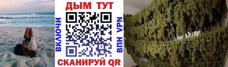 площадка клад  Зуевка  Бошки марихуана индика 